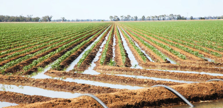 Irrigation